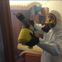 Уничтожение клопов в квартире. Тучково